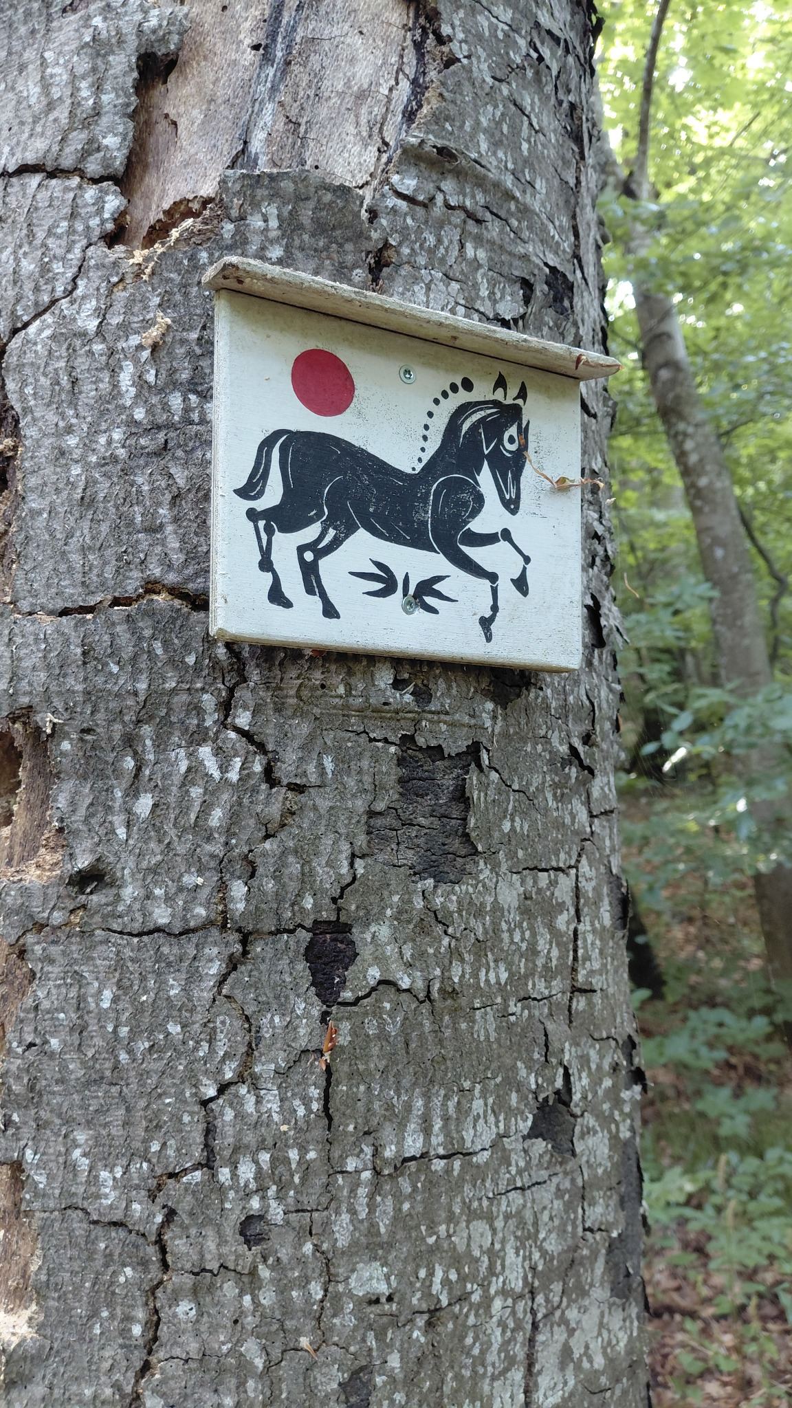 Horse Spirit close-up